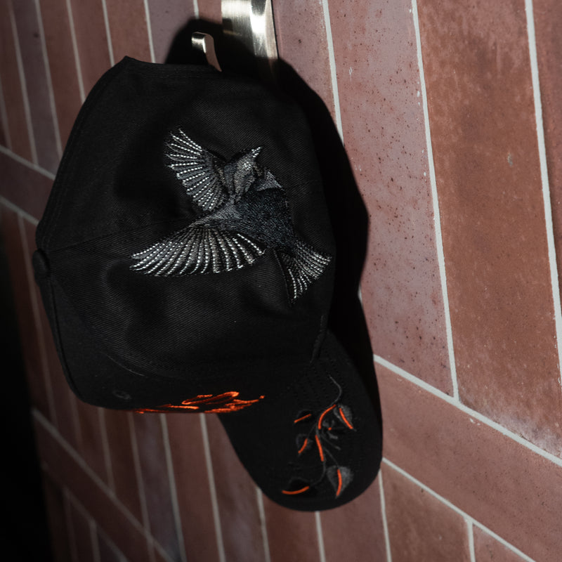 Visionary Snapback