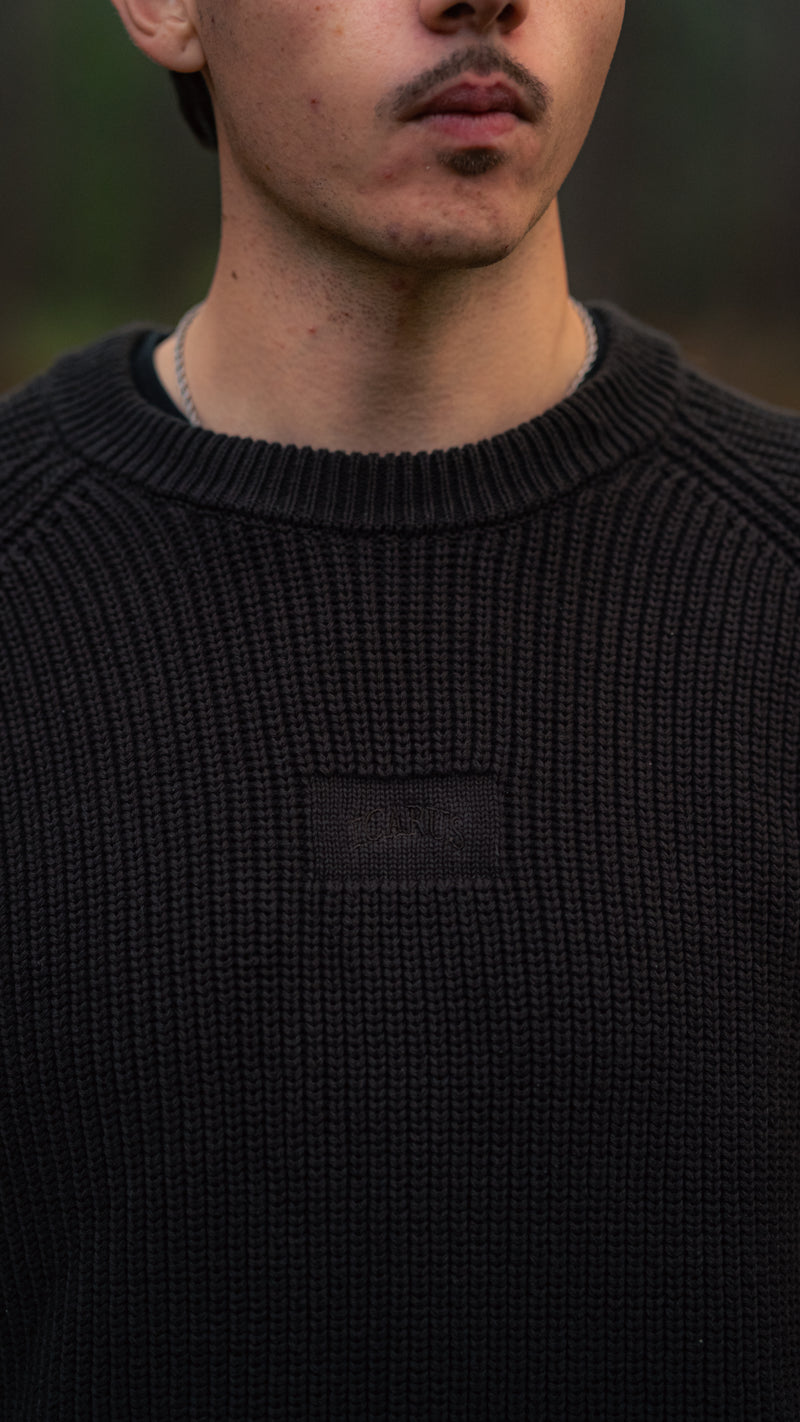 Icarus Brown Sweatshirt